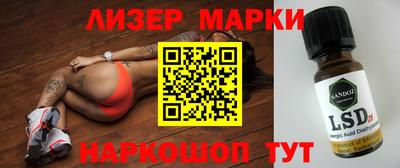 прущие грибы Краснознаменск