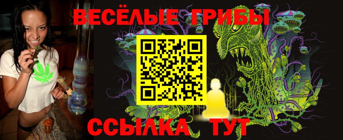 Псилоцибиновые грибы мицелий  Вход с VPN  продажа наркотиков  Кострома 
