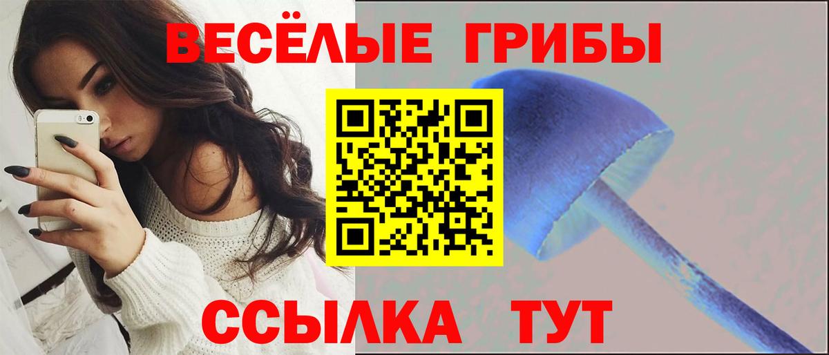 Галлюциногенные грибы Psilocybine cubensis Кострома